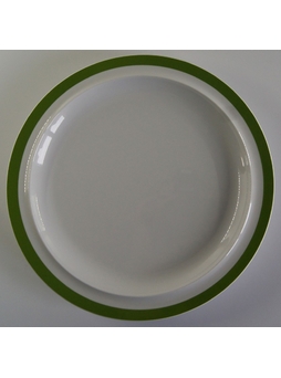 Assiette Plate '500' Mélamine ø222 Aile Vert