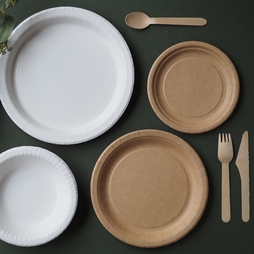 50\u0020Assiettes\u0020plates\u0020carton\u0020BIOSTRONG\u0020\u00D8180mm\u0020Kraft