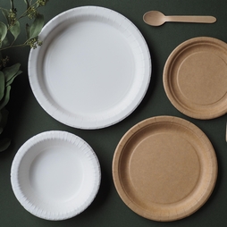 40\u0020Assiettes\u0020creuses\u0020carton\u0020BIOSTRONG\u0020\u00D8185xh38mm\u002050cl\u0020Blanc