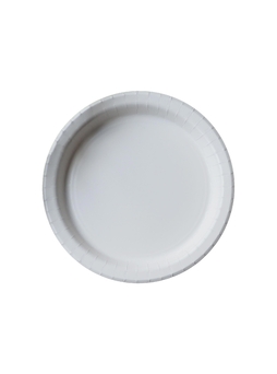 20 Assiettes plates carton BIOSTRONG Ø260mm Blanc