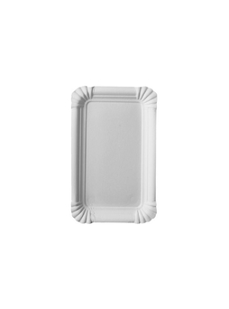 Assiette plate carton blanc 100x160