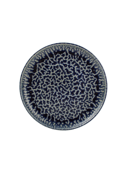 Assiette plate OXYDO COBALT Ø260mm Porcelaine Bleu 