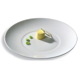 Assiette\u0020plate\u0020GALICE\u0020Sarreguemines\u0020d\u00E9cor\u0020relief\u0020Galuchat\u0020\u00D8270mm\u0020Porcelaine\u0020Blanc