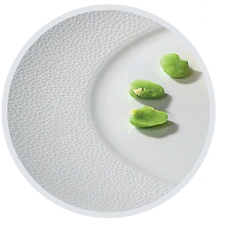 Assiette\u0020plate\u0020GALICE\u0020Sarreguemines\u0020d\u00E9cor\u0020relief\u0020Galuchat\u0020\u00D8270mm\u0020Porcelaine\u0020Blanc