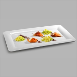 Plat\u0020Gastro\u0020GN1\u002F1\u0020M\u00E9lamine\u0020Blanc\u0020\u002D\u0020Pujadas