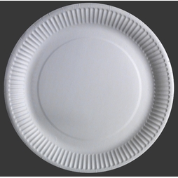 100 Assiettes Plate Carton ø230mm - Henri Julien