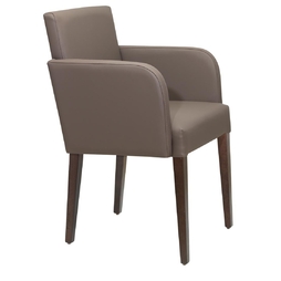 Fauteuil\u0020Silver