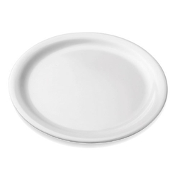 Assiette\u0020Plate\u0020M\u00E9lamine\u0020\u00F8230mm\u0020Blanc