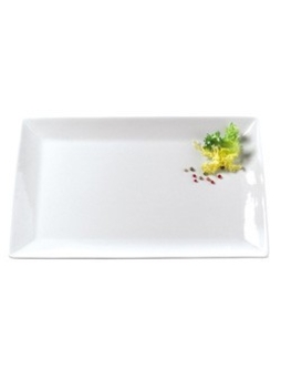 Assiette plate rectangle DELICES 325x150